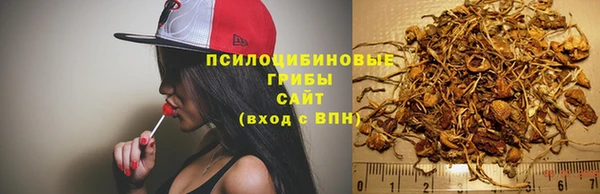 наркотики Абаза