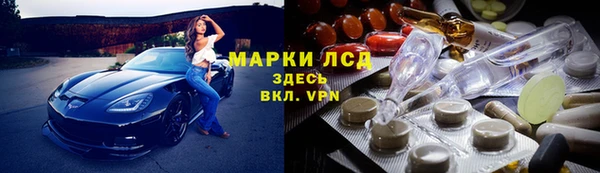apvp Алексин