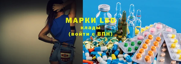apvp Алексин