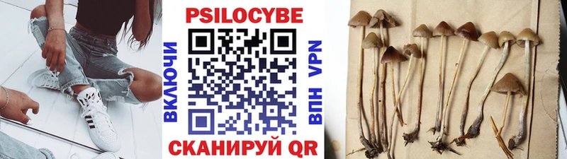 где найти   Новоалтайск  Псилоцибиновые грибы прущие грибы 